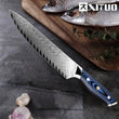 Japanese Damascus AUS10 Steel 8 inch Chef Knife